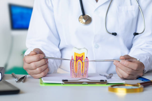 Best Emergency Dental Care for Broken or Chipped Teeth in Council Grove, KS